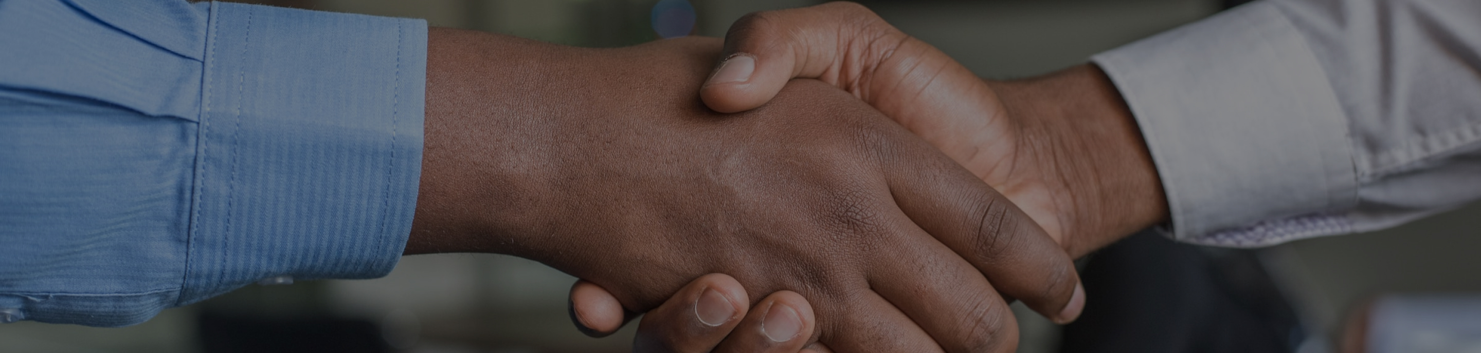 Safety Shoes in Egypt 2026 | Top Brands & Competitive Prices